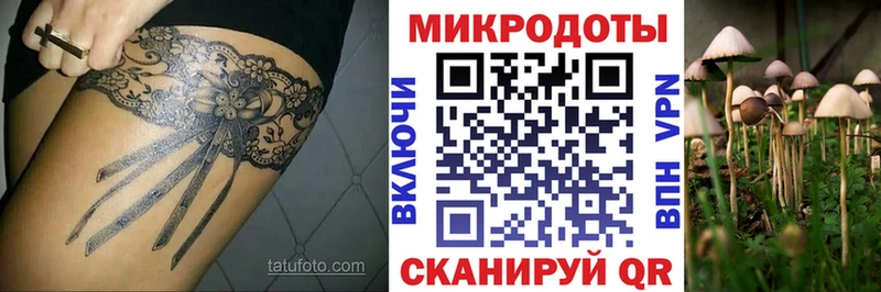 Купить закладки  Волхов  Галлюциногенные грибы Cubensis 